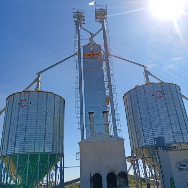 SILOS Y PLANTAS - trabajo de R Y RJSP OVIEDO